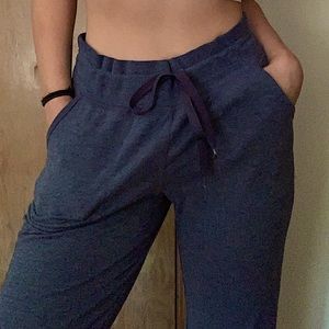 these are medium joggers, in the color periwinkle.